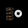 Brian Crower Brian Crower Honda/Acura B18A/B18B/B20B Dual Spring & Titanium Retainer Kit