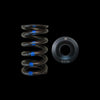 Brian Crower Brian Crower Mitsubishi 4G63/EVO 8/9 Single Spring & Steel Retainer Kit