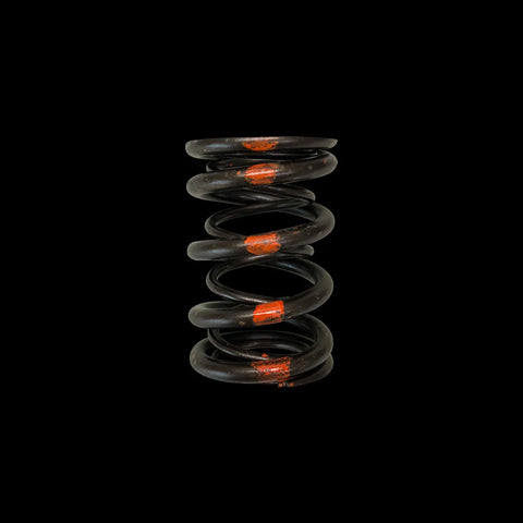 Brian Crower Brian Crower Honda/Acura B18A/B18B/B20B - Single Valve Spring