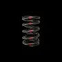 Brian Crower Brian Crower Honda H22/Nissan SR20VE Dual Valve Spring - Single (image 3)