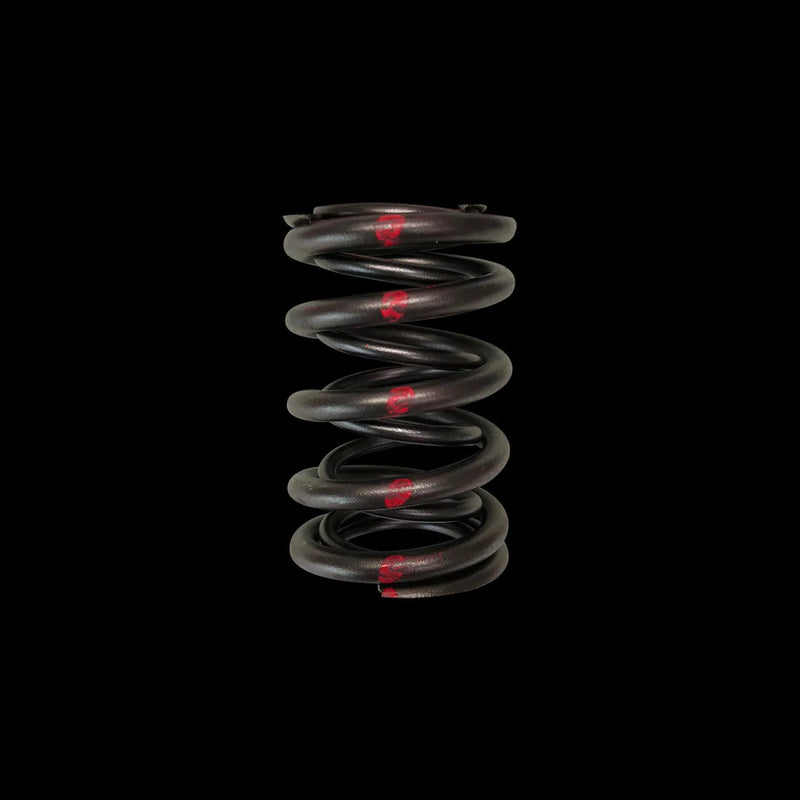 Brian Crower Brian Crower Honda H22/Nissan SR20VE Dual Valve Spring - Single