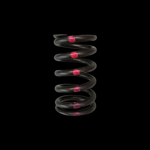 Brian Crower Brian Crower Nissan SR20DE Single Valve Springs (Single Spring - Price is each)