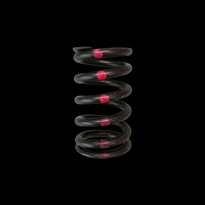Brian Crower Brian Crower Nissan SR20DE Single Valve Springs (Single Spring - Price is each)