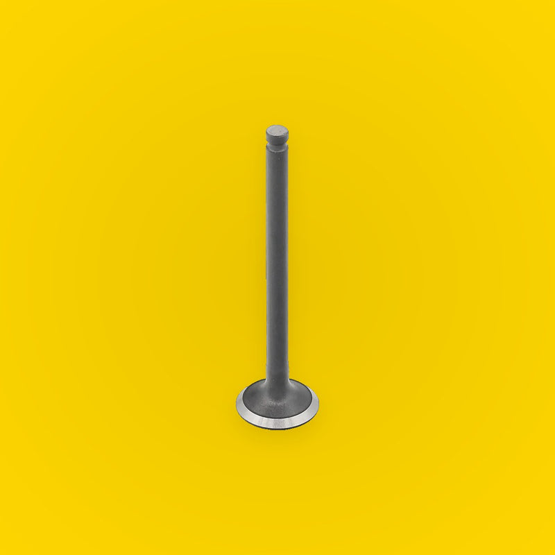 Bronco Engine Exhaust Valve for Suzuki QuadSport Z90