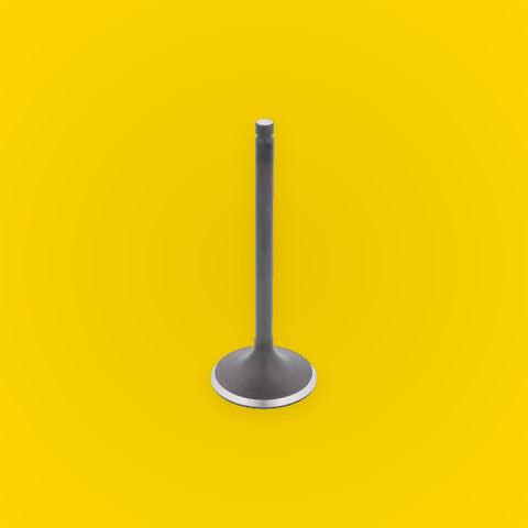 Bronco Engine Intake Valve for Suzuki King Quad 300 4x4 (1991–2002)