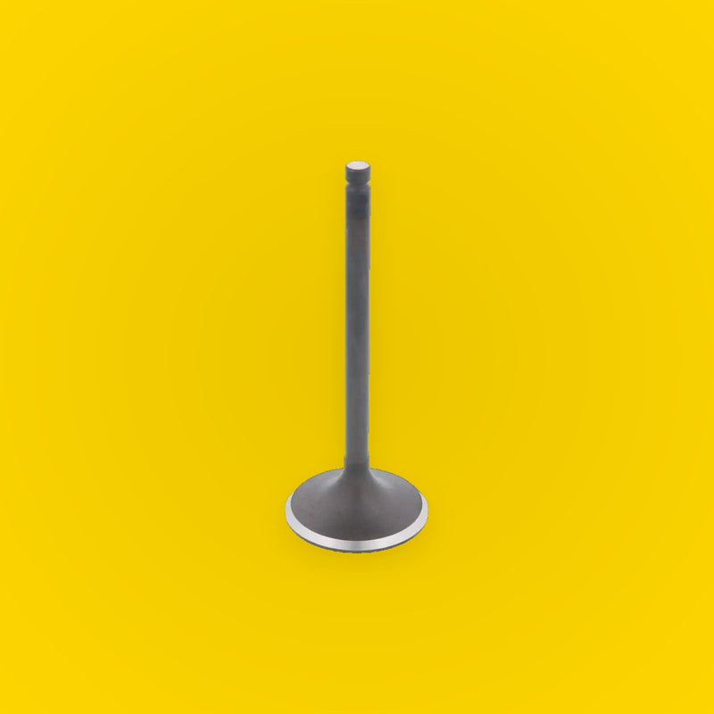Bronco Engine Intake Valve for Suzuki QuadSport 250 Z250 (2004–2009)