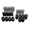 6DCT450 Gearbox Clutch Retainer Springs Repair Kit (Pair) to suit Ford MPS6 — image 2