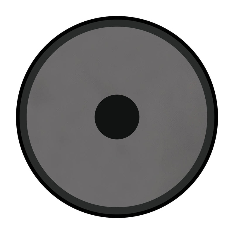 Garmin Dashboard Disc