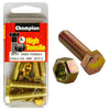 Champion Hex Nut & Screw Set 5/16" x 1-1/2" UNF High