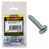Champion Screw Self Tapp Panhead Phillips 4.8 x 19mm 40Pk