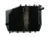 Kawasaki ZX12R ZX 12R 2000-2005 Black Generic Radiator Grille Guard Cooler