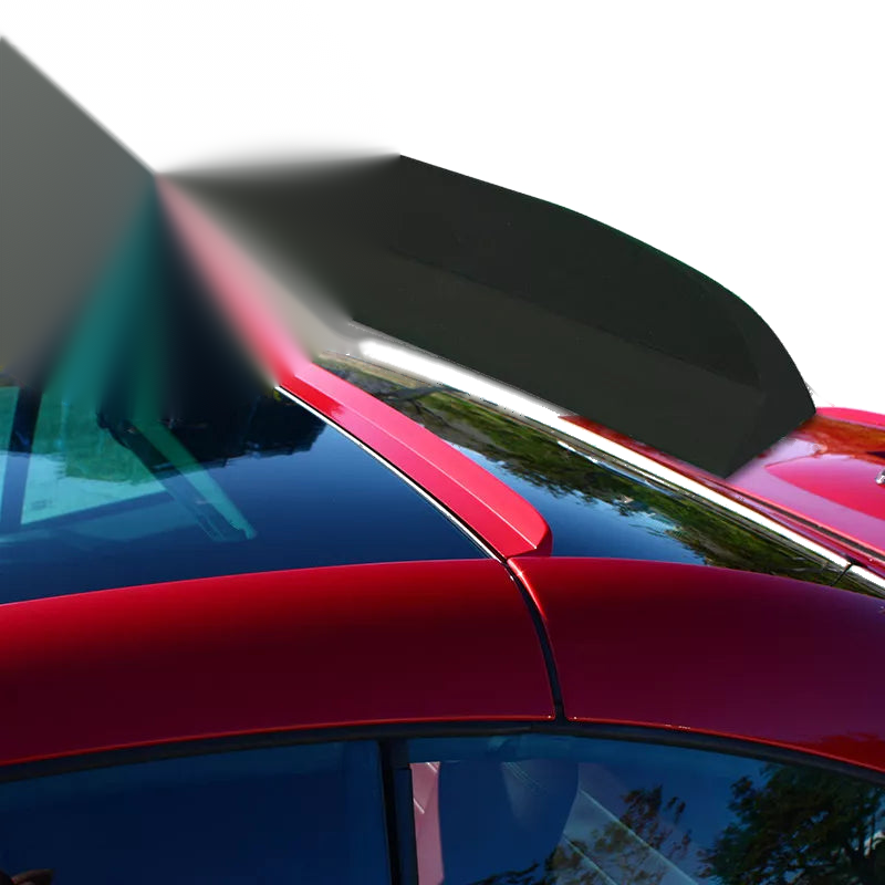 Dodge Charger LD Sedan Roof Spoiler (2011-2014)