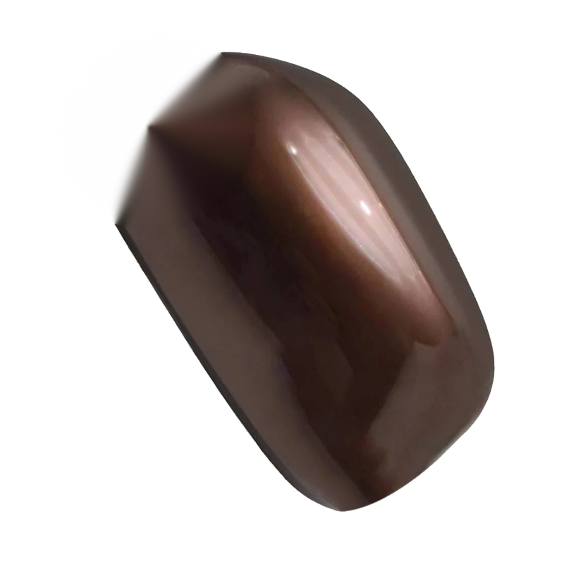 Toyota RAV4 Brown Left Rear View Mirror Cover (2006-2012)