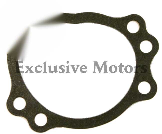 Genuine Water Pump Gasket