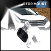 Honda Civic Engine Motor Mount (2016-2019)