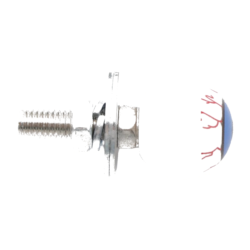 Motorcycle Bike Trike License Plate Bolts