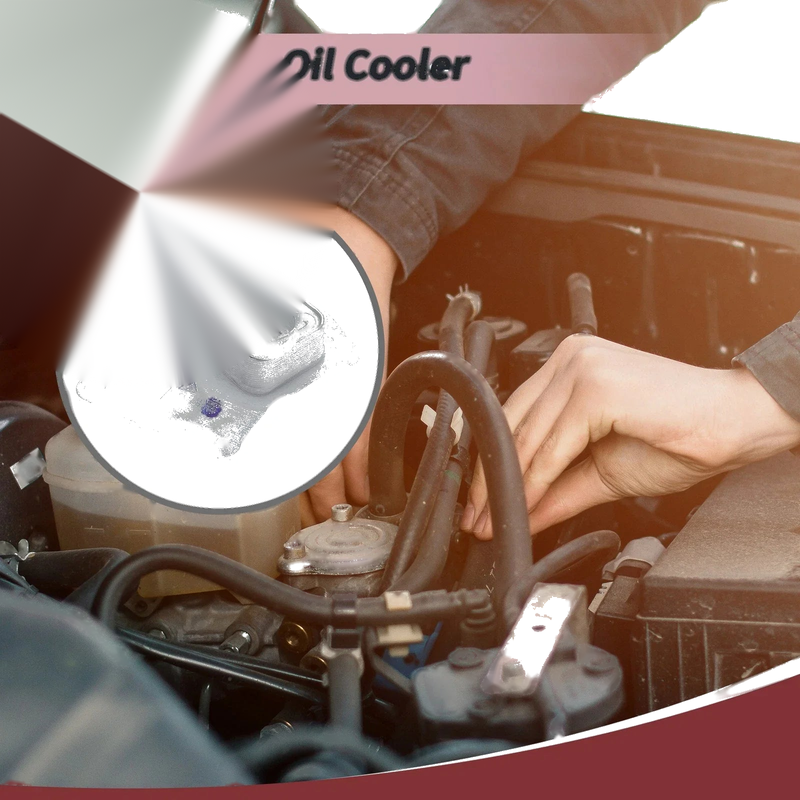 Mercedes-Benz C250 (2012-2015) 1 x Trans Cooler Engine Oil Cooler
