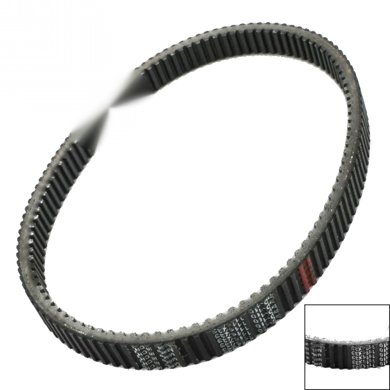 Arctic Cat Cheetah Cougar EXT Pantera Jag Panther Puma Timing Belt (1980-1999)