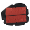 Honda VFR800 FI ABS Interceptor VFR800F Air Filter (1998-2009)