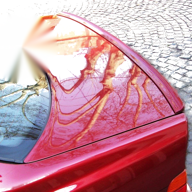 Nissan Maxima J31 Sedan Boot Lip Spoiler (2003-2008)