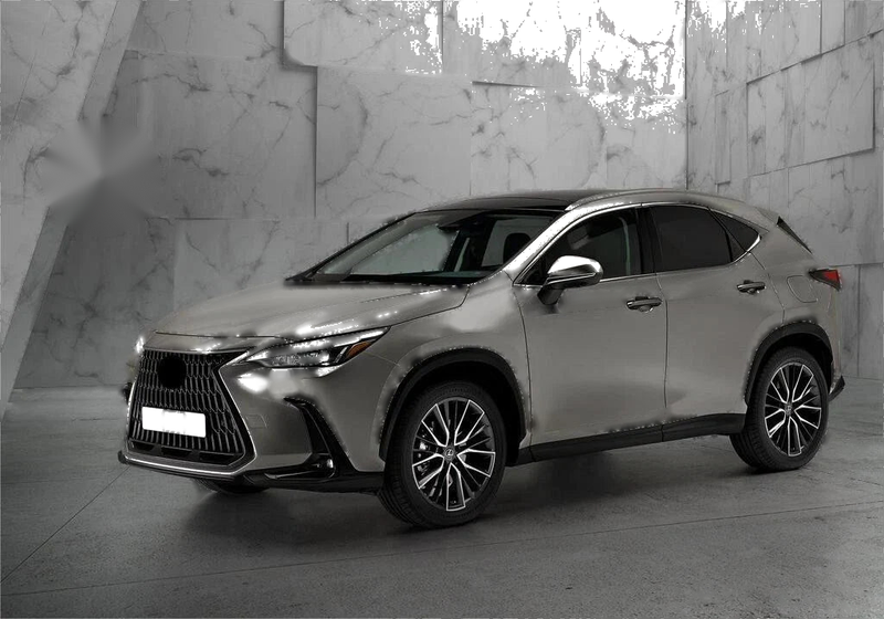 Lexus NX NX250 350 350h Mud Flaps Splash Guards (2022-2024)