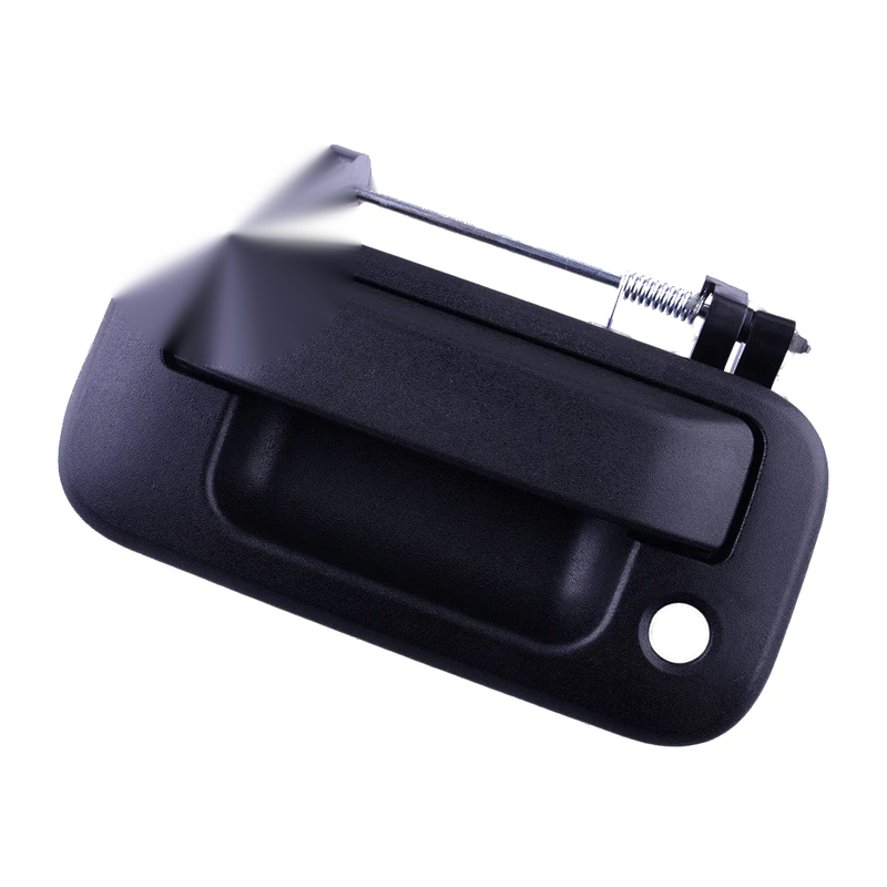 Ford F-150 F-250 F-350 Super Duty Tailgate Handle Trunk Button (2004-2023)
