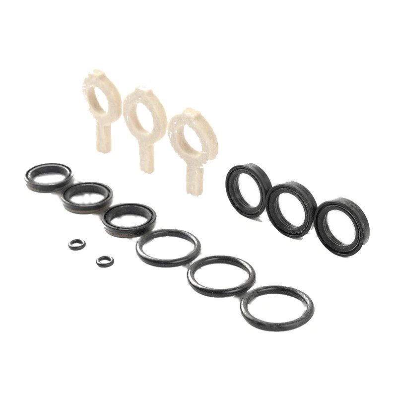 Cat Pump Models 30, 31, 34, 35, 310, 340, 350, 310B, 310S Seal Kit