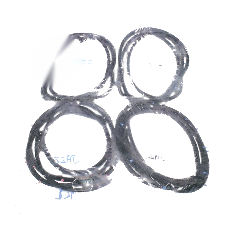 Honda Fit Jazz GD1 GD3 GD4 Hatchback 2004-2006 Door Weatherstrip Set