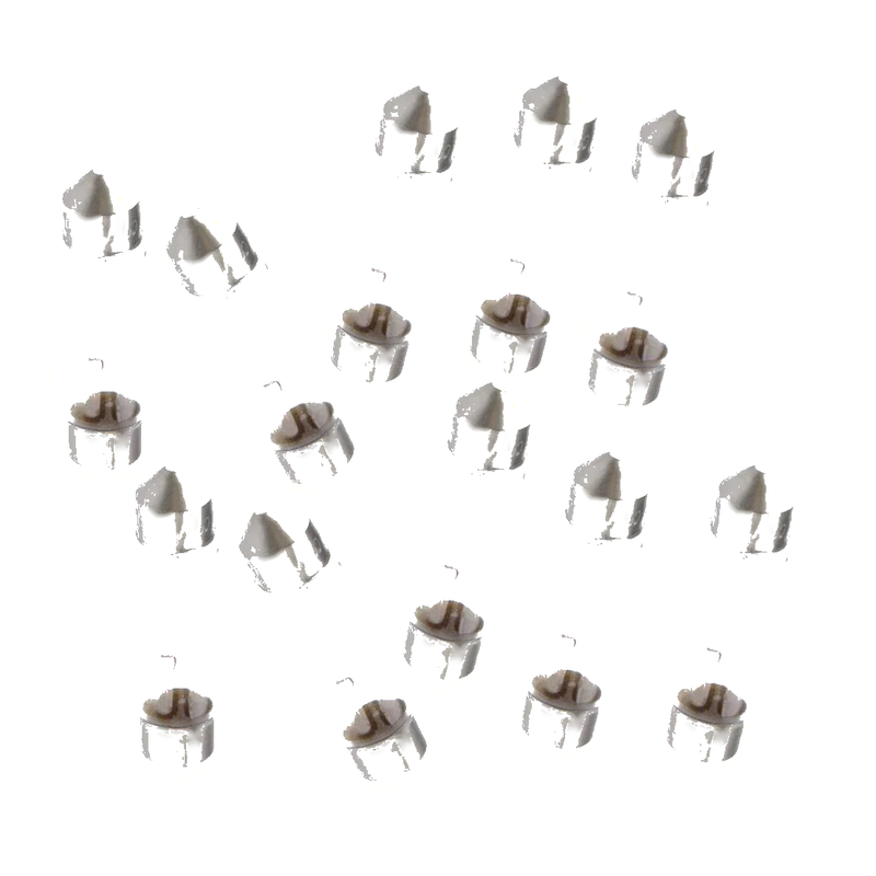C3 10 x 39mm C5W White Car Interior Map Dome Light Bulbs (2002-2010)