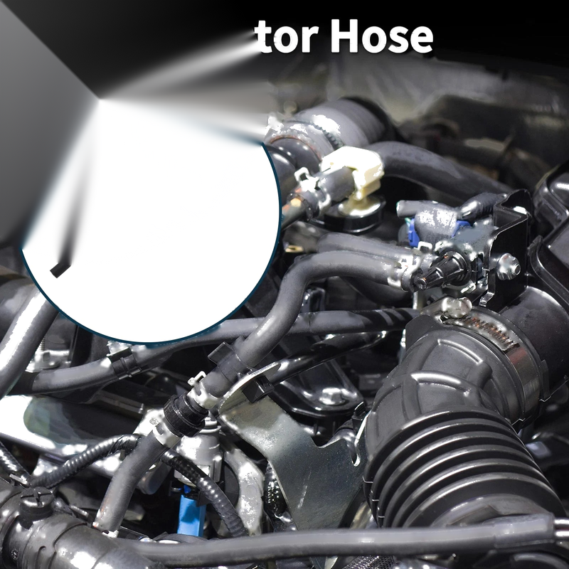 BMW Mini Clubman Radiator Hose (2014 - 2024)