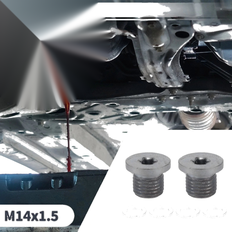 Car Motorcycle M14x1.5 Engine Oil Drain Plug with Gasket
