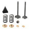 Intake Exhaust Valve & Seal SPRING Yamaha G2 G14
