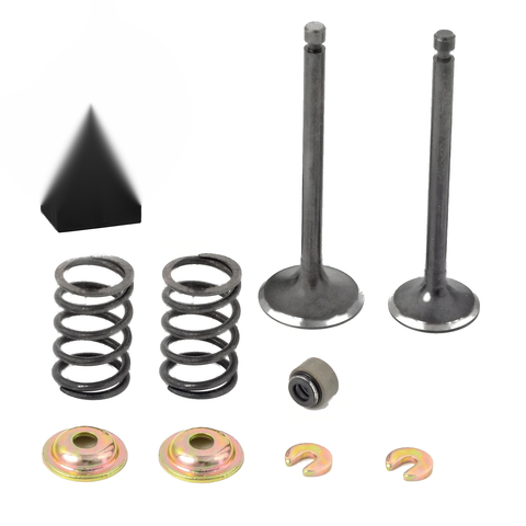 Intake Exhaust Valve & Seal SPRING Yamaha G2 G14