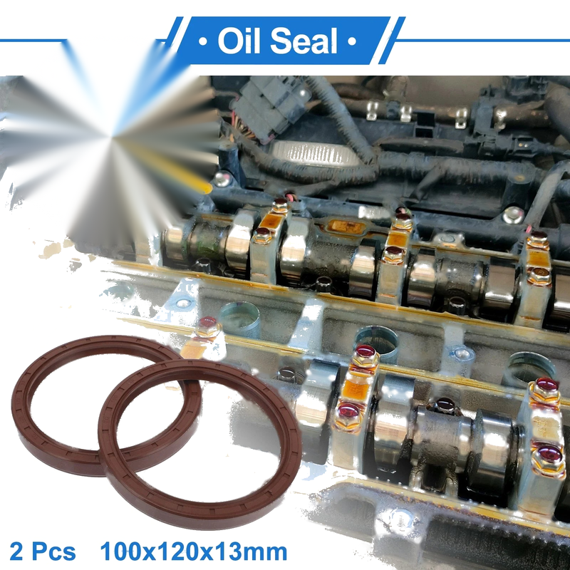 Auto Oil Seal / 100x120x13mm / Seal Ring Rotary Shaft Seal FKM Rubber