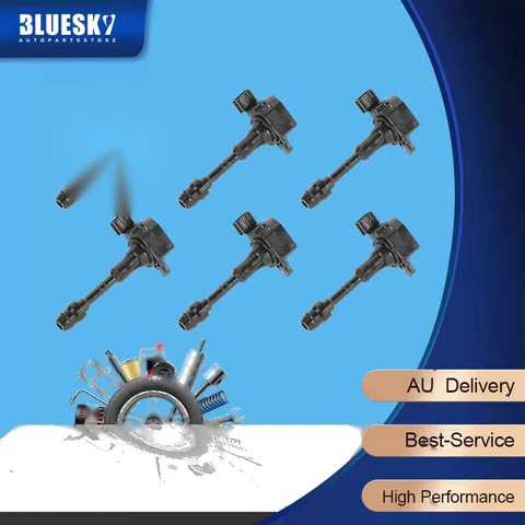 Nissan Pathfinder R50 3.5L Set of 6 Ignition Coils (2001-2004)
