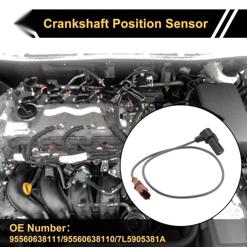 PORSCHE Cayenne S 9PA 4.8 Crankshaft Position Sensor (2007-2010)