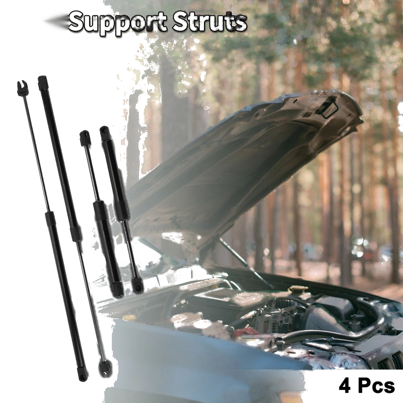 Dodge Intrepid Front Hood & Tailgate Lift Supports Struts Set (1998-2004)