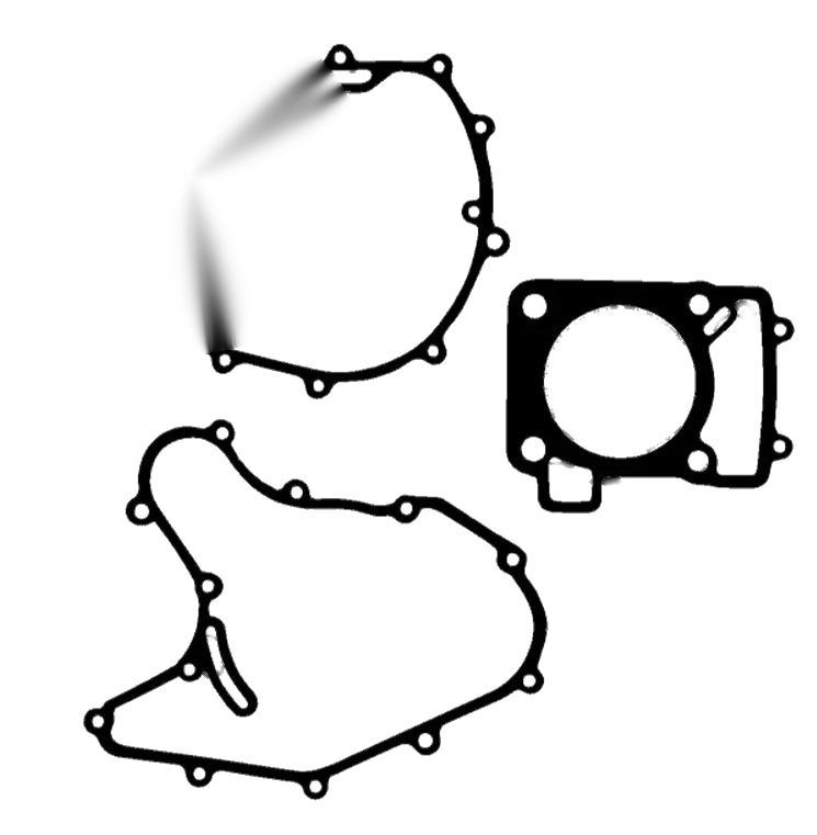 KTM Duke 200 RC200 Engine gasket (2012–2016, 2014–2017)