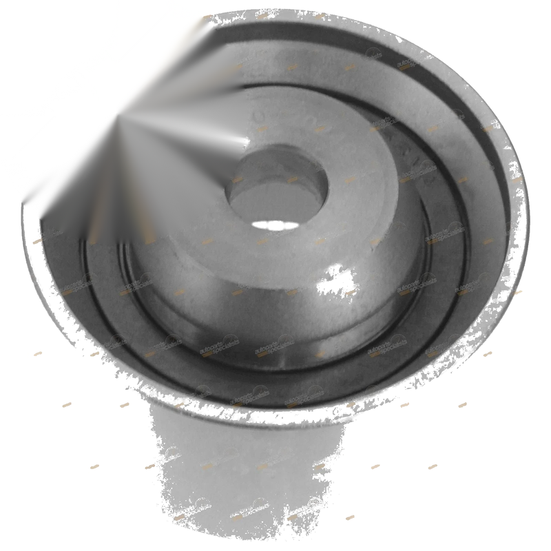 Kia Rio JB Timing Belt Idler (2005-2011)