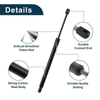 Dodge Magnum Rear Gate Lift Supports Struts (2005-2010)