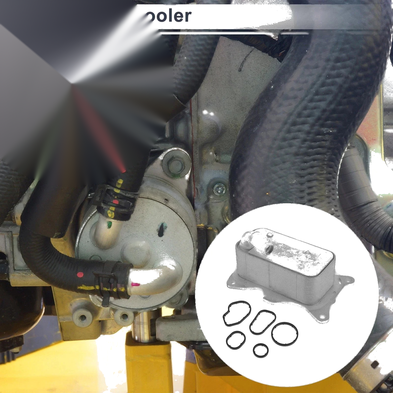 Mercedes-Benz Sprinter (2007-2018) - 1 Set Engine Oil Cooler