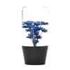 10cm Blue Hana Gear Knob