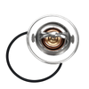 Kawasaki Ninja 1000 ZX1000 Thermostat O-Ring (2011–2024)