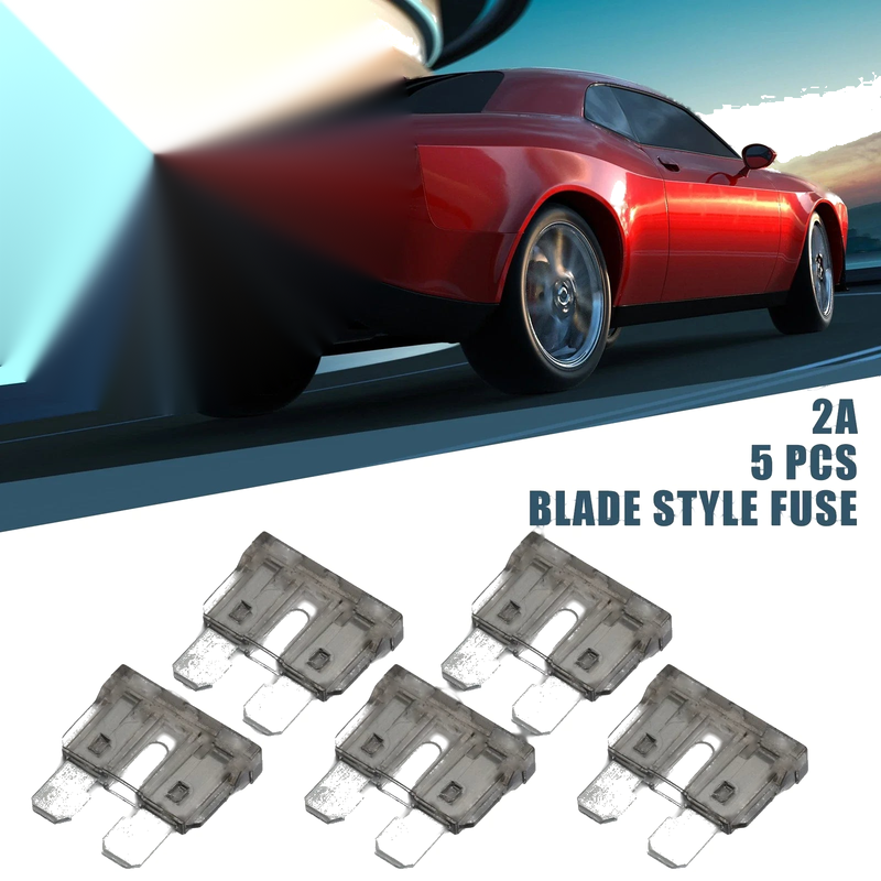 Car Boat Truck SUV RV Motorcycle Fuse / 5pcs / Blade Style Fuses 2A