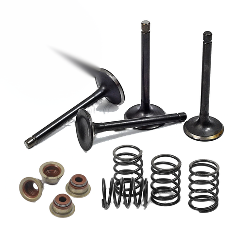EZGO Robin Golf Cart Intake Exhaust Valve Retainer Seals (Unknown Year)