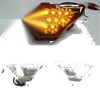 Kawasaki Ninja Halogen Bulb Front Turn Signal Lights