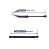Acura TL Sedan Tailgate Lift Support Struts Gas Spring