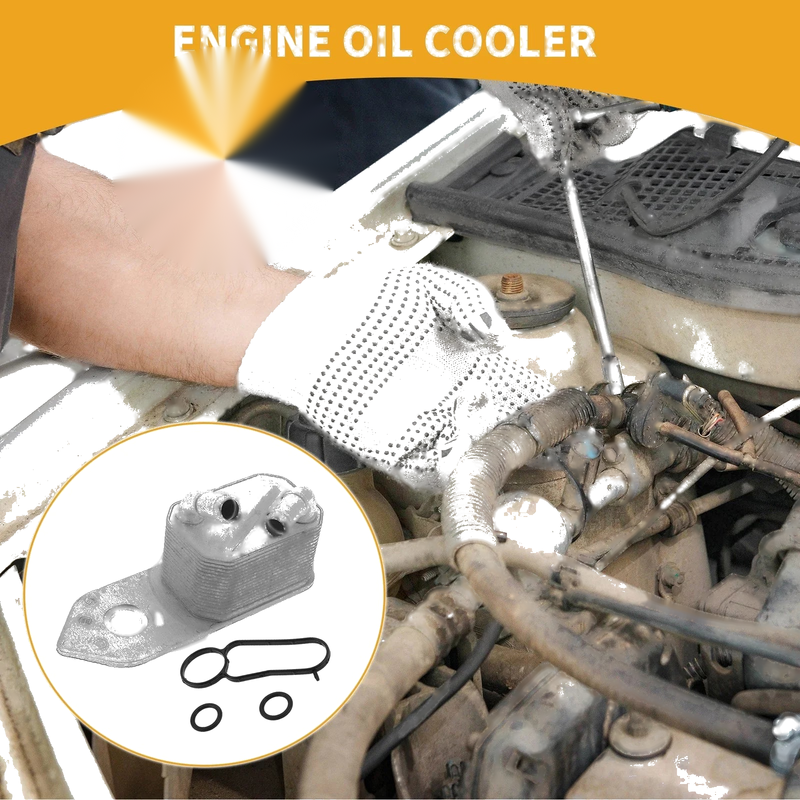 Ford Transit Engine Oil Cooler & O-rings Seal (2001-2013)