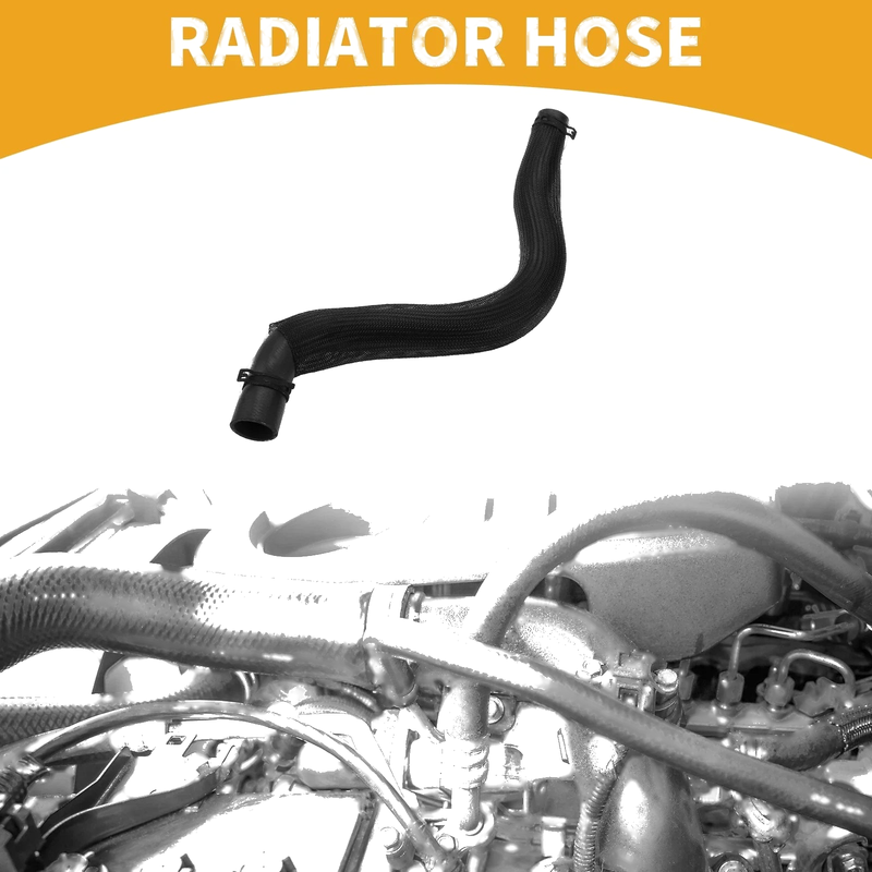 Ford Mondeo Radiator Hose (2014-2024)