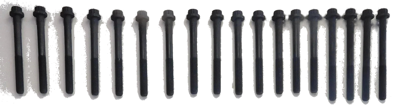 MITSUBISHI SHOGUN CHALLENGER PAJERO 3.2 DiD TD 4M41 CYLINDER HEAD BOLTS